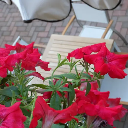 Lux Hotel Cesenatico