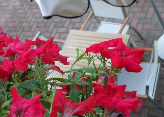 Lux Hotel Cesenatico