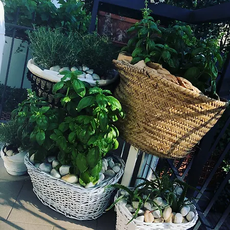 Lux Ξενοδοχείο